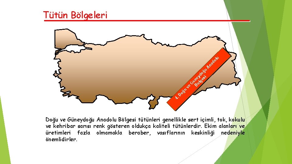 Tütün Bölgeleri u l do na u 4. oğ ğu o yd si e