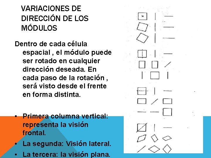 VARIACIONES DE DIRECCIÓN DE LOS MÓDULOS Dentro de cada célula espacial , el módulo VARIACIONES DE DIRECCIÓN DE LOS MÓDULOS Dentro de cada célula espacial , el módulo