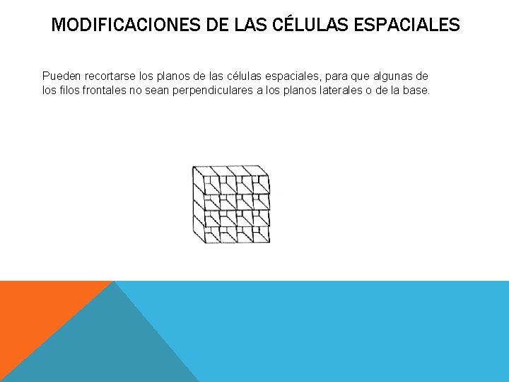 MODIFICACIONES DE LAS CÉLULAS ESPACIALES Pueden recortarse los planos de las células espaciales, para MODIFICACIONES DE LAS CÉLULAS ESPACIALES Pueden recortarse los planos de las células espaciales, para