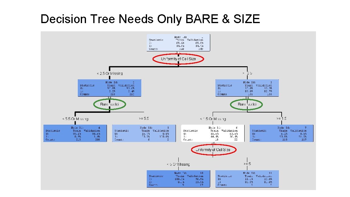 Decision Tree Needs Only BARE & SIZE 