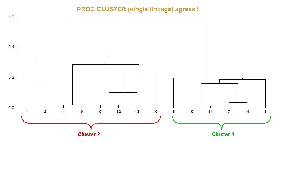 PROC CLUSTER (single linkage) agrees ! Cluster 2 Cluster 1 