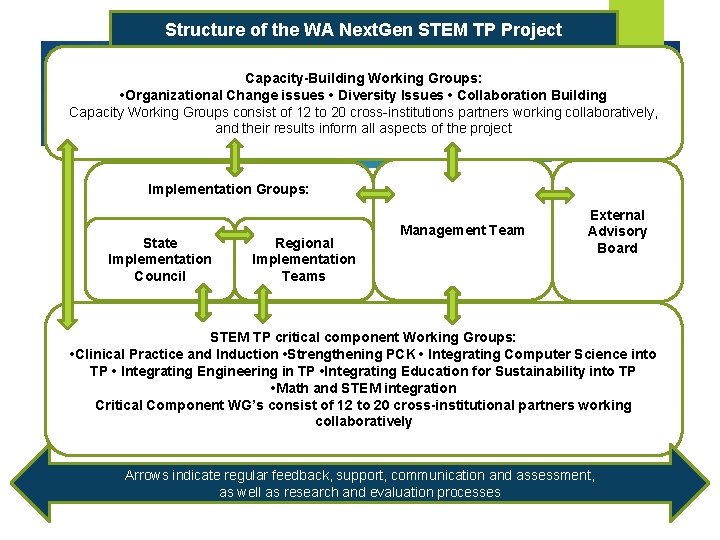 Structure of the WA Next. Gen STEM TP Project Capacity-Building Working Groups: • Organizational