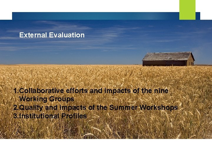 External Evaluation 1. Collaborative efforts and impacts of the nine Working Groups 2. Quality