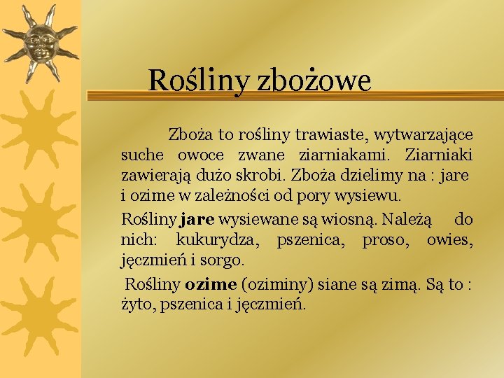 Rośliny zbożowe Zboża to rośliny trawiaste, wytwarzające suche owoce zwane ziarniakami. Ziarniaki zawierają dużo