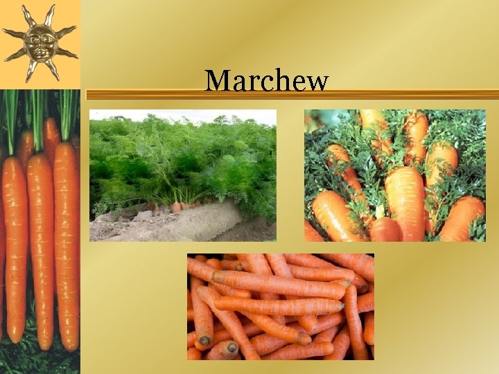 Marchew 