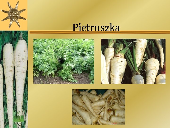 Pietruszka 