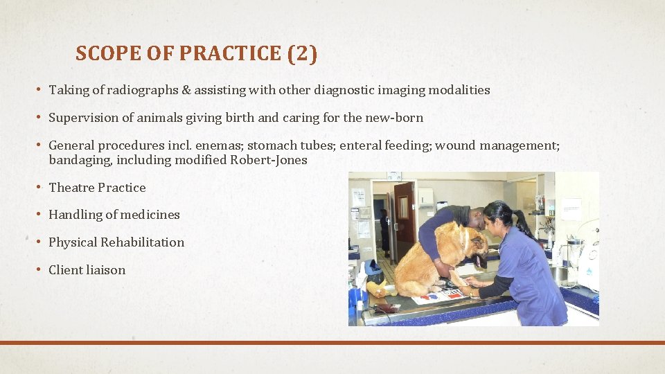 SCOPE OF PRACTICE (2) • Taking of radiographs & assisting with other diagnostic imaging