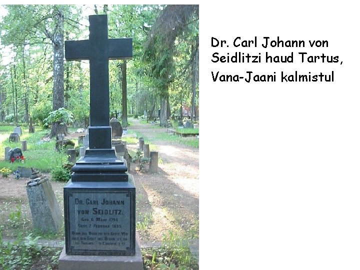 Dr. Carl Johann von Seidlitzi haud Tartus, Vana-Jaani kalmistul 