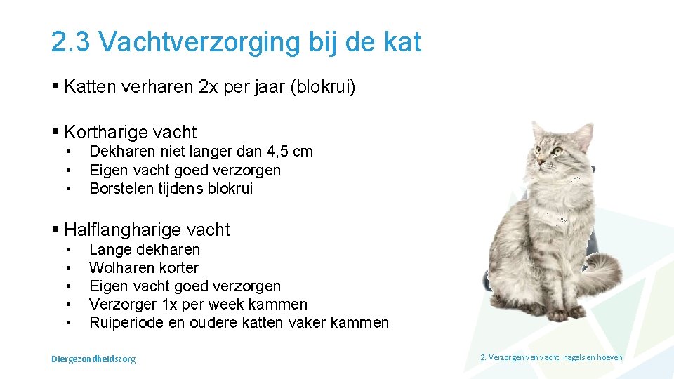 2. 3 Vachtverzorging bij de kat § Katten verharen 2 x per jaar (blokrui)