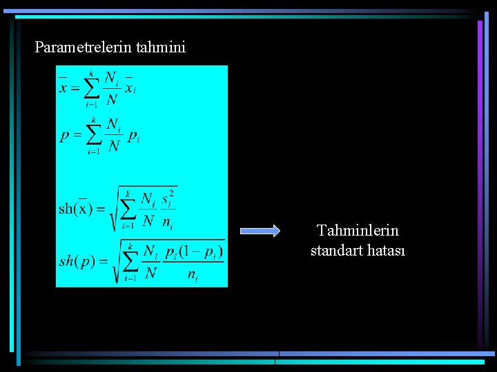 Parametrelerin tahmini Tahminlerin standart hatası 