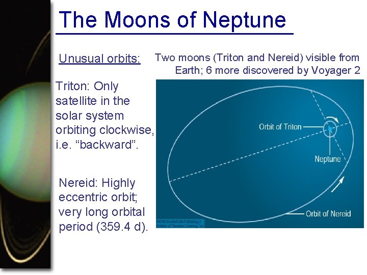 The Moons of Neptune Unusual orbits: Two moons (Triton and Nereid) visible from Earth;