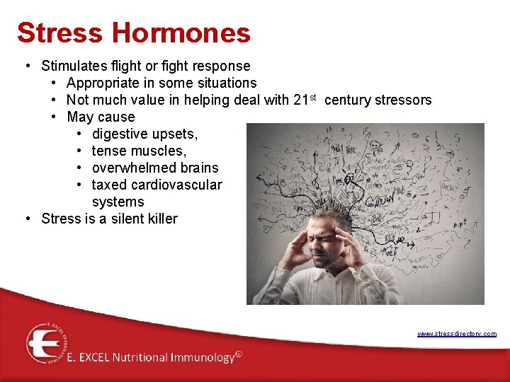 Stress Hormones • Stimulates flight or fight response • Appropriate in some situations • Stress Hormones • Stimulates flight or fight response • Appropriate in some situations •