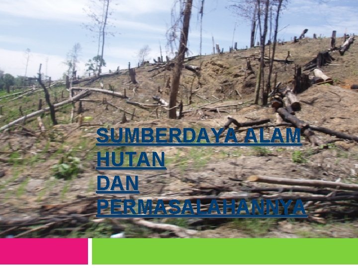 SUMBERDAYA ALAM HUTAN DAN PERMASALAHANNYA 