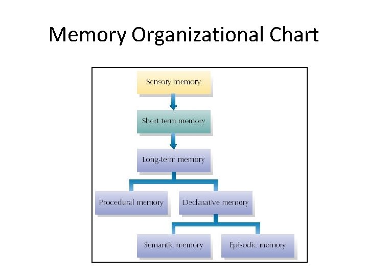 Memory Organizational Chart 