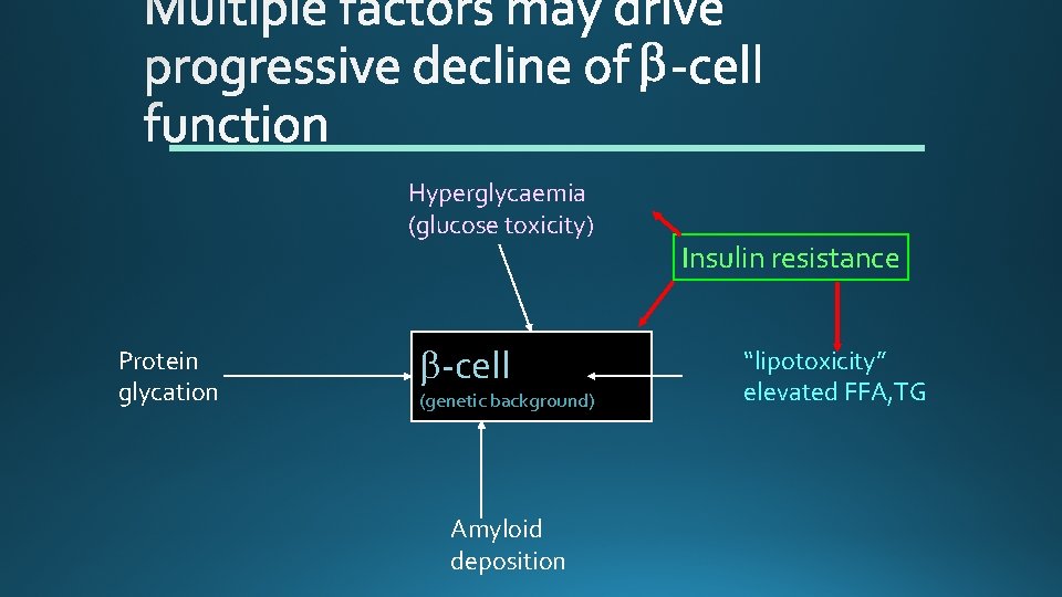 Hyperglycaemia (glucose toxicity) Protein glycation b-cell (genetic background) Amyloid deposition Insulin resistance “lipotoxicity” elevated