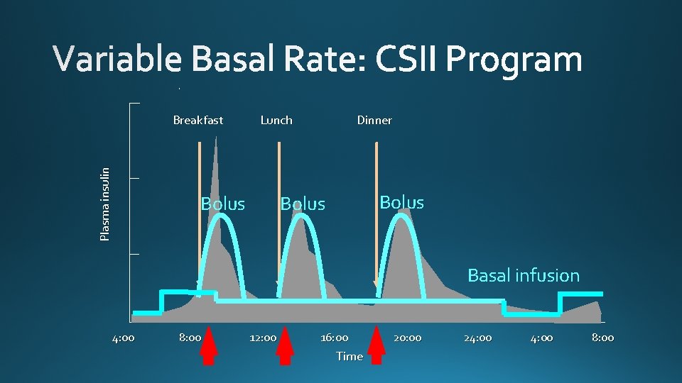 Plasma insulin Breakfast Lunch Bolus Dinner Bolus Basal infusion 4: 00 8: 00 12: