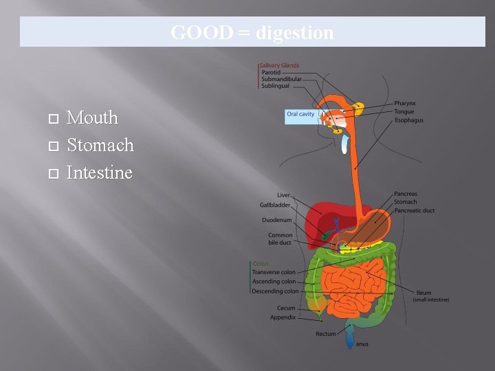 GOOD = digestion Mouth Stomach Intestine GOOD = digestion Mouth Stomach Intestine