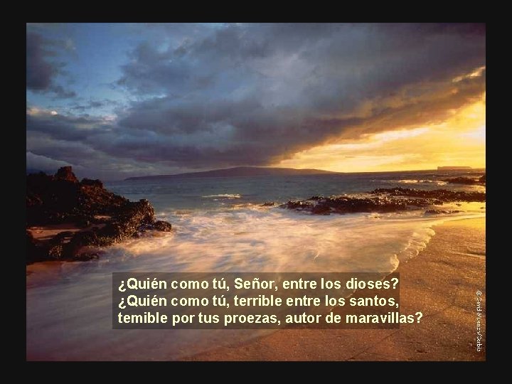 ¿Quién como tú, Señor, entre los dioses? ¿Quién como tú, terrible entre los santos,