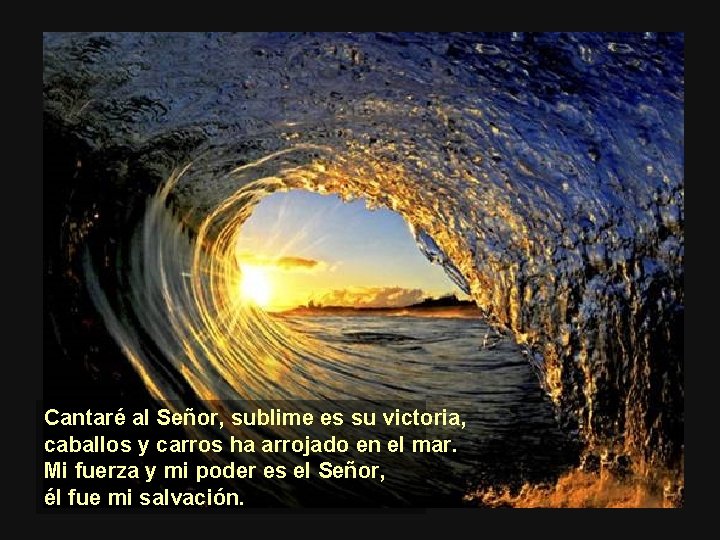 Cantaré al Señor, sublime es su victoria, caballos y carros ha arrojado en el