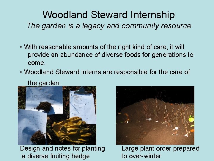 Woodland Steward Internship The garden is a legacy and community resource • With reasonable