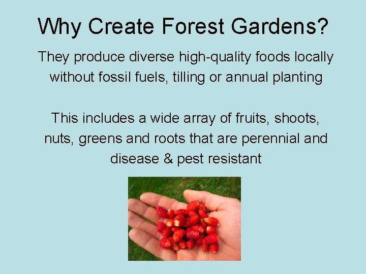 Why Create Forest Gardens? They produce diverse high-quality foods locally without fossil fuels, tilling