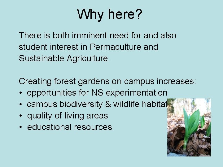 Why here? There is both imminent need for and also student interest in Permaculture