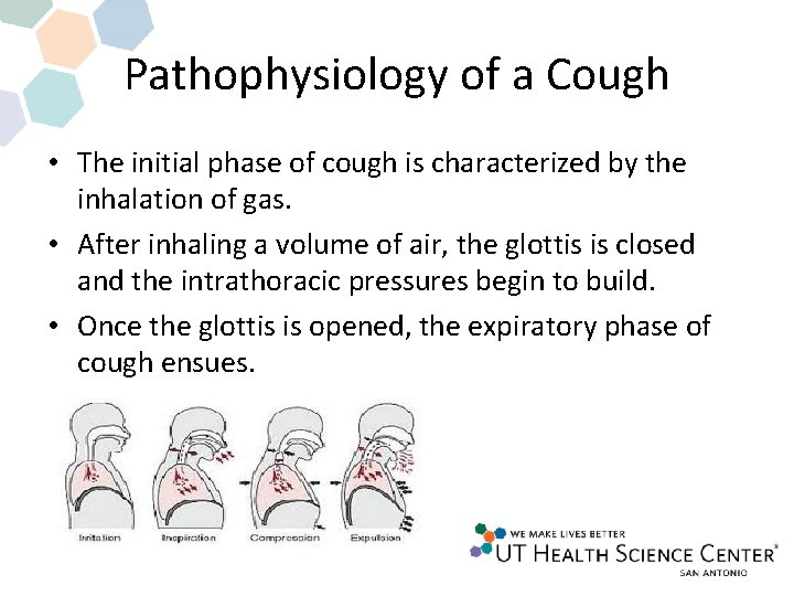 Pathophysiology of a Cough • The initial phase of cough is characterized by the Pathophysiology of a Cough • The initial phase of cough is characterized by the
