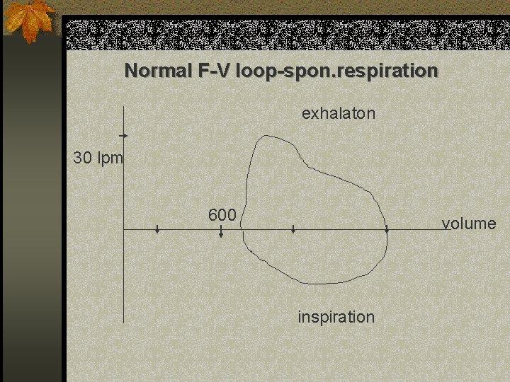 Normal F-V loop-spon. respiration exhalaton 30 lpm 600 volume inspiration 