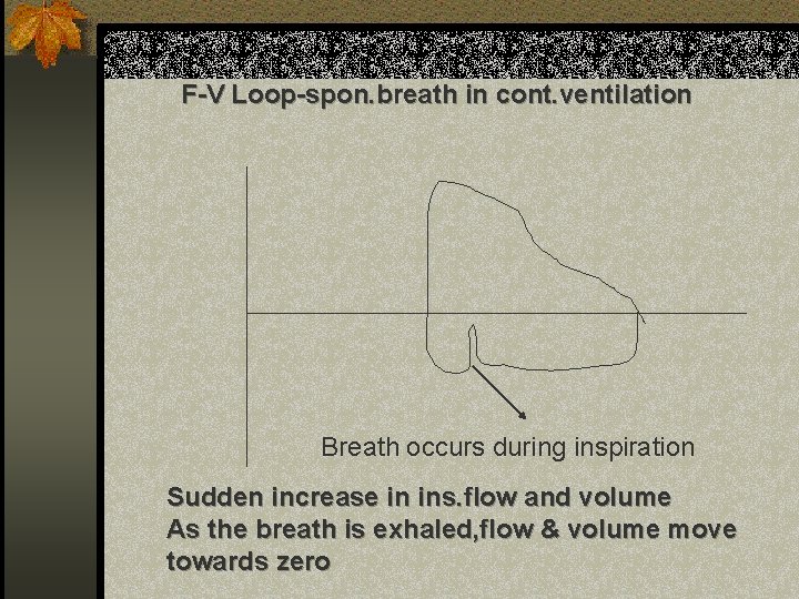 F-V Loop-spon. breath in cont. ventilation Breath occurs during inspiration Sudden increase in ins.