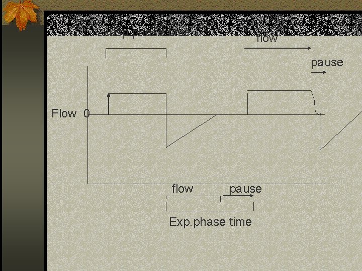 Insp phase time flow pause Flow 0 flow pause Exp. phase time 