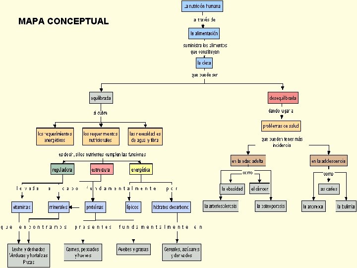 MAPA CONCEPTUAL 