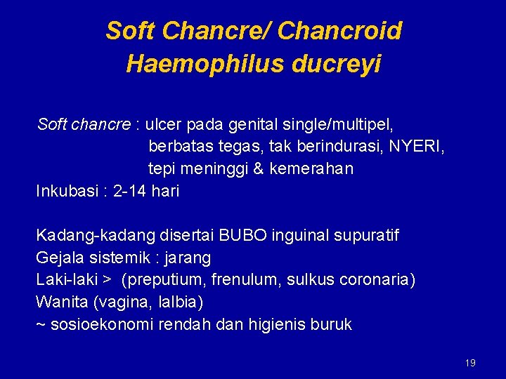 Soft Chancre/ Chancroid Haemophilus ducreyi Soft chancre : ulcer pada genital single/multipel, berbatas tegas,