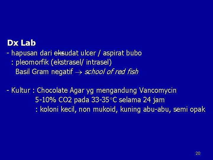 Dx Lab - hapusan dari eksudat ulcer / aspirat bubo : pleomorfik (ekstrasel/ intrasel)