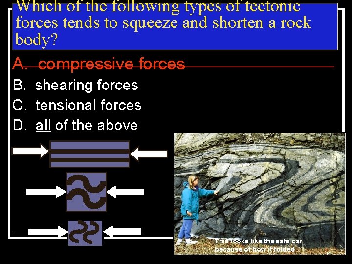 Which of the following types of tectonic forces tends to squeeze and shorten a