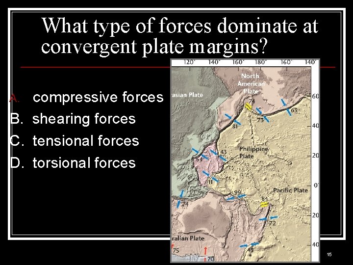 What type of forces dominate at convergent plate margins? compressive forces B. shearing forces