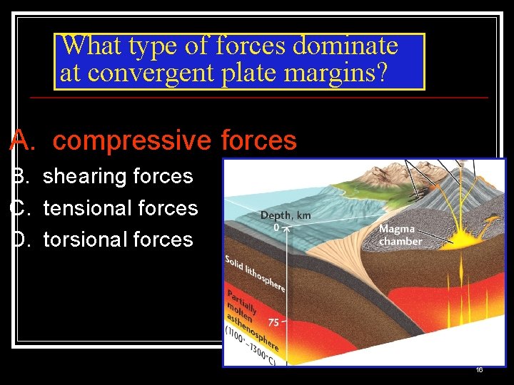 What type of forces dominate at convergent plate margins? A. compressive forces B. shearing
