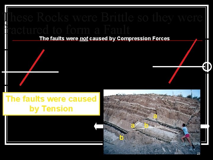 These Rocks were Brittle so they were fractured to form a Fault The faults