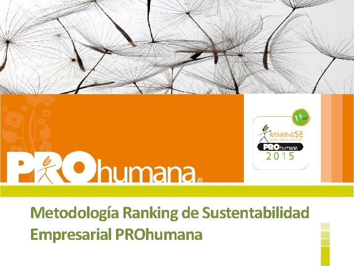 Metodología Ranking de Sustentabilidad Empresarial PROhumana 