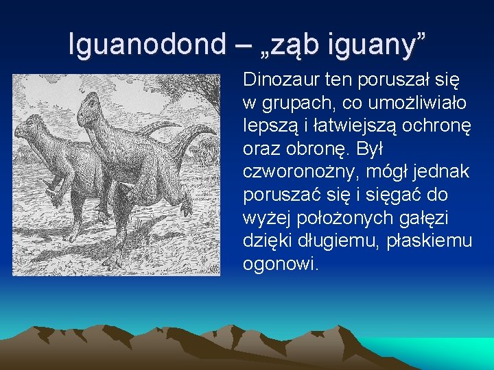 Iguanodond – „ząb iguany” Dinozaur ten poruszał się w grupach, co umożliwiało lepszą i