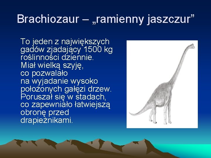 Brachiozaur – „ramienny jaszczur” To jeden z największych gadów zjadający 1500 kg roślinności dziennie.