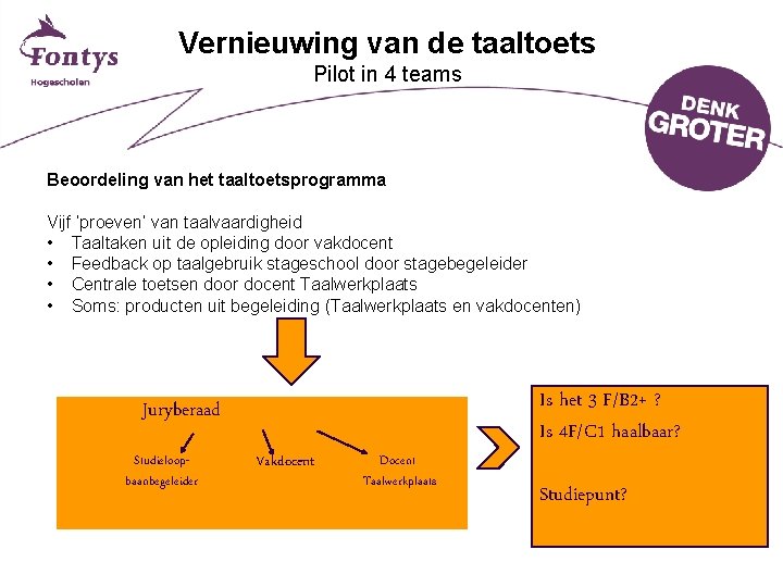 Vernieuwing van de taaltoets Pilot in 4 teams Beoordeling van het taaltoetsprogramma Vijf ‘proeven’