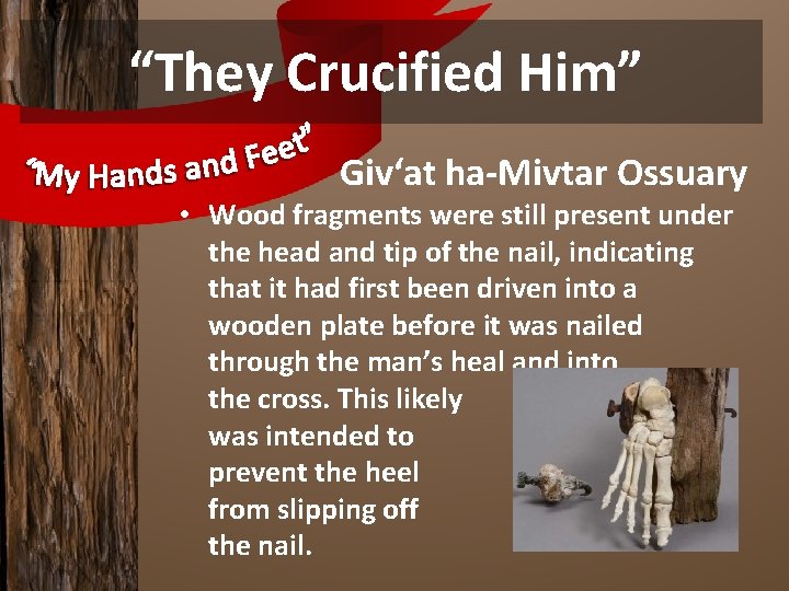 “They Crucified Him” Giv‘at ha-Mivtar Ossuary • Wood fragments were still present under the