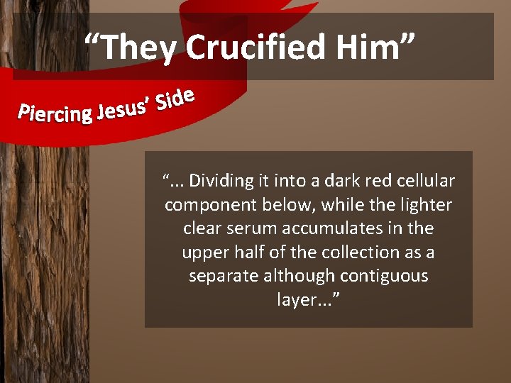 “They Crucified Him” “. . . Dividing it into a dark red cellular component