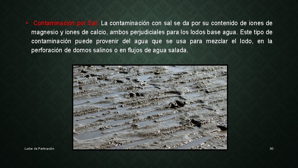  • Contaminación por Sal: La contaminación con sal se da por su contenido