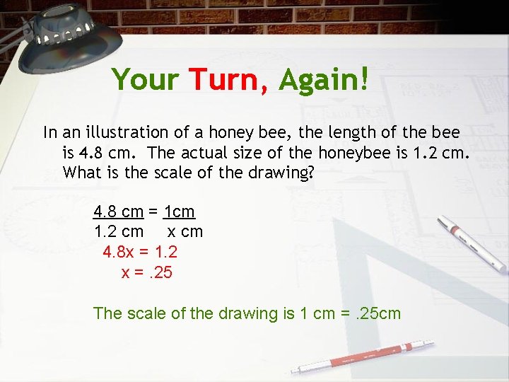 Your Turn, Again! In an illustration of a honey bee, the length of the