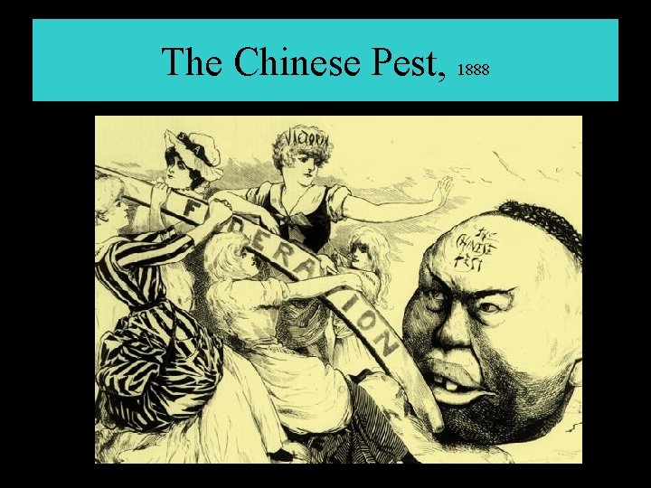 The Chinese Pest, 1888 