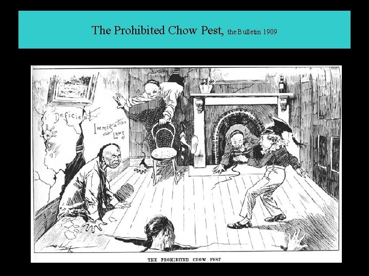 The Prohibited Chow Pest, the Bulletin 1909 