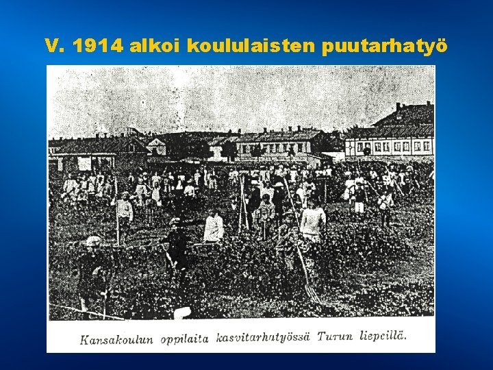 V. 1914 alkoi koululaisten puutarhatyö 