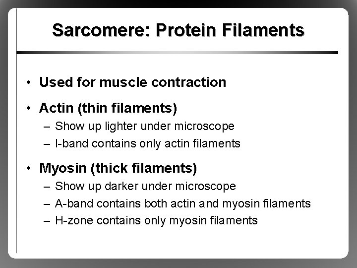 Sarcomere: Protein Filaments • Used for muscle contraction • Actin (thin filaments) – Show