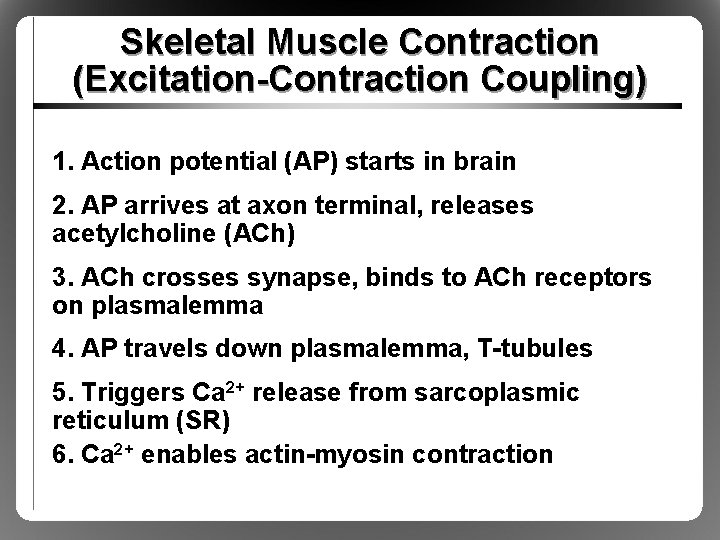 Skeletal Muscle Contraction (Excitation-Contraction Coupling) 1. Action potential (AP) starts in brain 2. AP